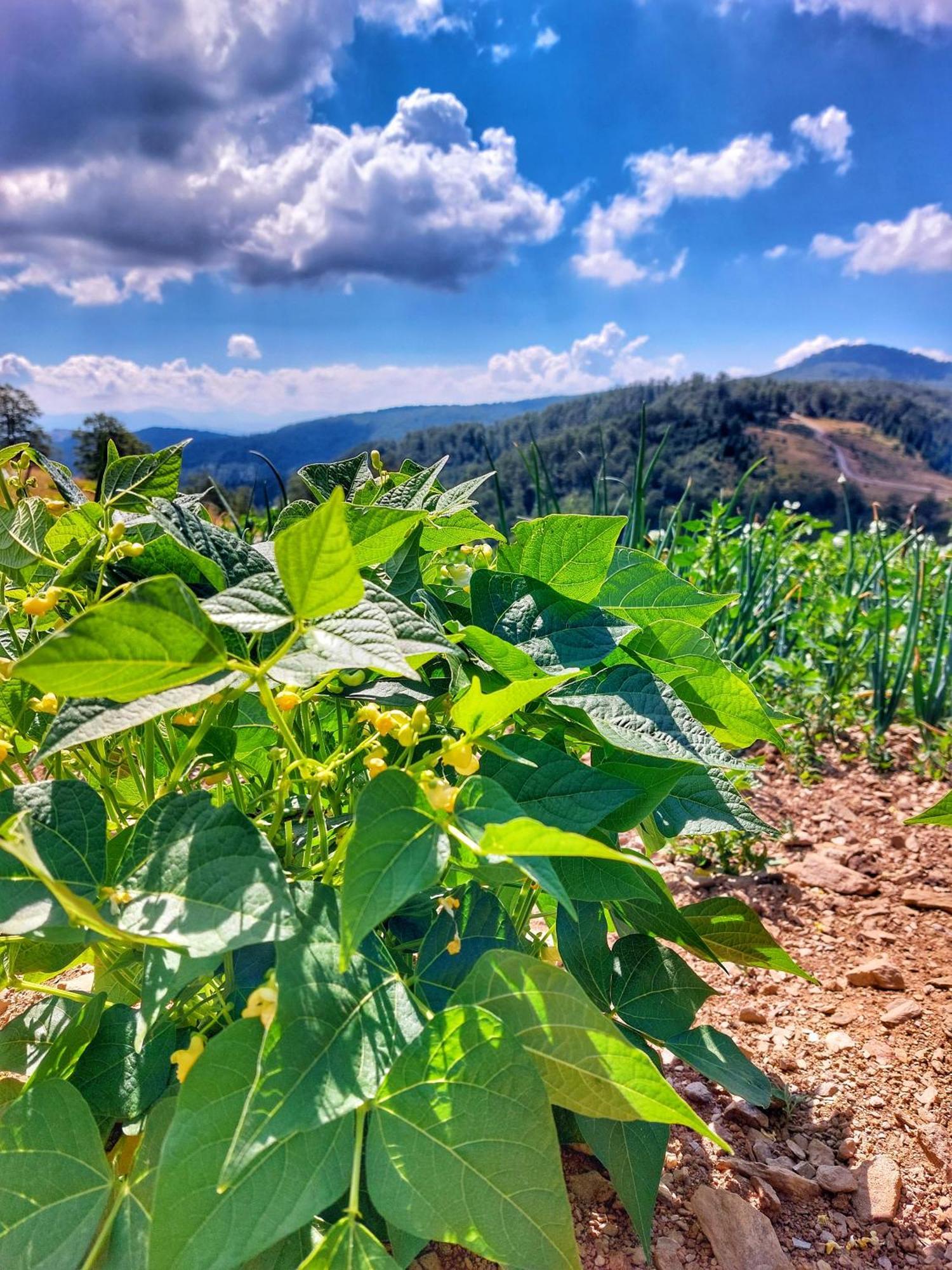 فندق Eko Katun Staro Katuniste Andrijevica المظهر الخارجي الصورة