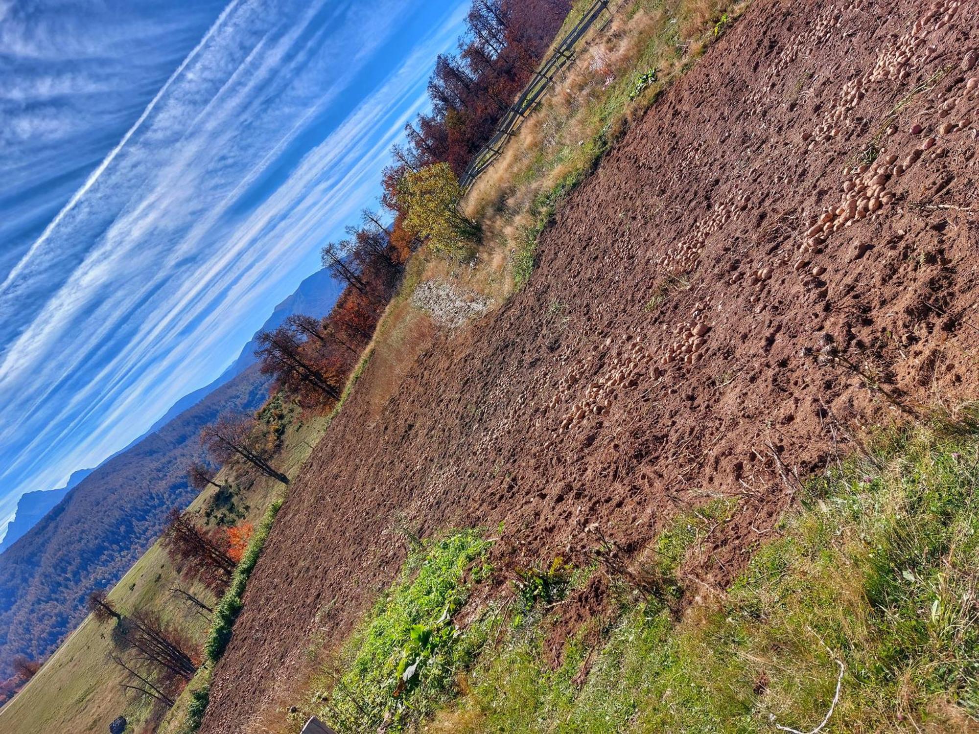 فندق Eko Katun Staro Katuniste Andrijevica المظهر الخارجي الصورة