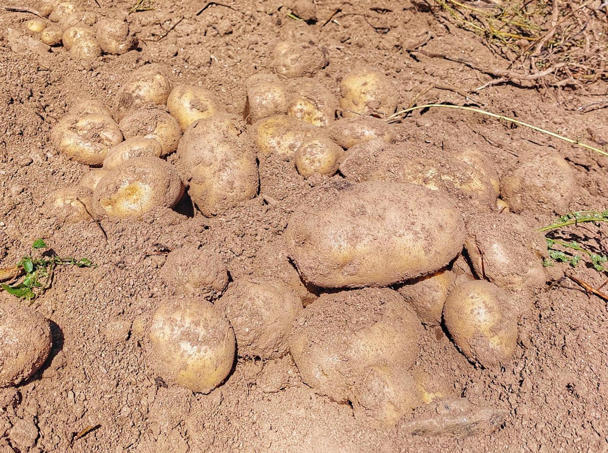 فندق Eko Katun Staro Katuniste Andrijevica المظهر الخارجي الصورة